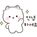 하동물병원 네이버블로그
