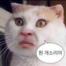 오캐스트라체험관 이미지