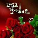 정오의빛