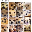 구석집 이미지
