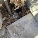 백일홍스테이 이미지