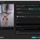 [강사재능기부]나를 브랜딩하는 1인 영상제작기초 | [AI 역량확장②] 캡컷(CapCut) 수업 후기｜30초 영상에 4시간… 모바일 숏폼·AI 기능·강사 지원 영상까지