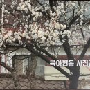 신용사진관 이미지
