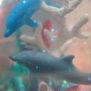 노스텔지어 이미지