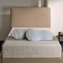 아네시스 이미지