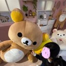 어울림뽑기방 | 미당첨 아티스트의 일상