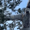 눈이야기 이미지