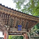 협동조합  잇고 | 기차타고 순천 시티투어(생태투어) 1편 송광사