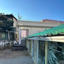 [고성여행] 고성 초록지붕 카페, 테일 후기ㅣ가진카페, 가진해변ㅣ반려동물 동반 카페