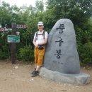 중구봉(276m) 이미지
