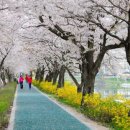 오섬권역 주차장 이미지