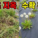 평생먹을