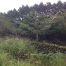 남원읍-74 이미지