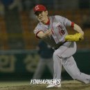 대고지 연합뉴스