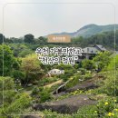 천상의 나무 | 옥천 가볼만한곳 | 부모님 모시고가기좋은 유럽풍느낌 천상의정원 예약안하고간후기