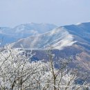 예솔이네집 이미지