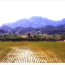 조산목장 이미지