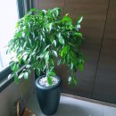 자민환경 이미지