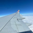 210156 | [Shanghai] 상해 무비자 6박 7일 여행 준비 : 항공권 / 호텔 / 디즈니랜드 / e심 / 우전수향마을...