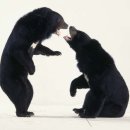 반달농장 이미지