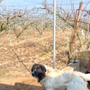 덕일농장 이미지