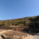 광재농장 이미지