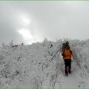 안성리-3 이미지