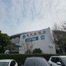 모성 | 보건소 모성검사 후기 임신 준비 중 제주보건소에서 풍진 B형간염 항체 확인한 과정