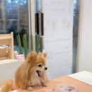 반짝반짝 레진아트1 이미지