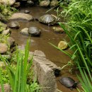 포천동물보육원 동물복지시설 이미지