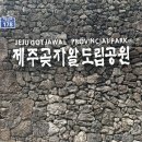 [제주여행] 3일차. 비 오는 제주 (곶자왈 도립공원, 오설록 티 뮤지엄, 돌담 흑돼지)