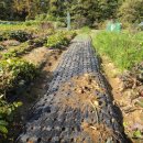 채수농장 이미지