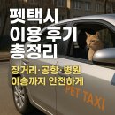동물택시 | 펫택시 이용 후기 총정리: 장거리·공항·병원 이송까지 안전하게!
