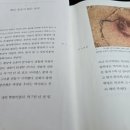 챗사피엔스