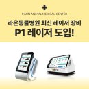 라온동물의료센터 | 당진동물병원, 라온동물의료센터 수술부터 재활까지 한 번에, P1 레이저 도입!