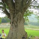 문경(양평) 이미지