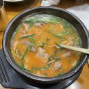 우리할매돼지국밥 이미지