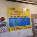 힘찬 민물 장어 이미지