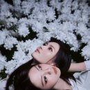 도드리 카카오 검색결과