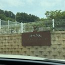 숲속캠핑장 | [경기도 김포] 서울 근교 분위기 좋은 여울지 숲속 캠핑장 / DO 사이트 후기
