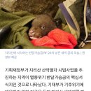 [단독]‘기후 예산’으로 반달곰 서식지에 산악열차 놓겠다는 기재부 이미지