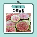 다우농장 이미지