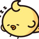 해달프로그래밍 이미지