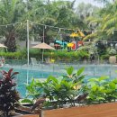 동하약국 | 혼자 여행 2일차 베스트웨스턴 프라이빗비치 안캉약국 푸꾸옥치킨 즈엉동야시장 망고플롯 망고데스젤리