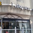 Dog차지 이미지