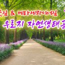 우로지 이미지