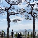 342 | 순천 화포 카페 라브리342 돈까스 후기