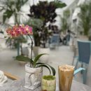 촉촉베이커리 앤 카페 | 하남 신상 대형카페, 드말리 베이커리 앤 다이닝 방문 후기