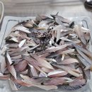 계명회센타 이미지