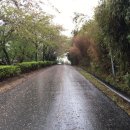 온산이주민망향비 이미지